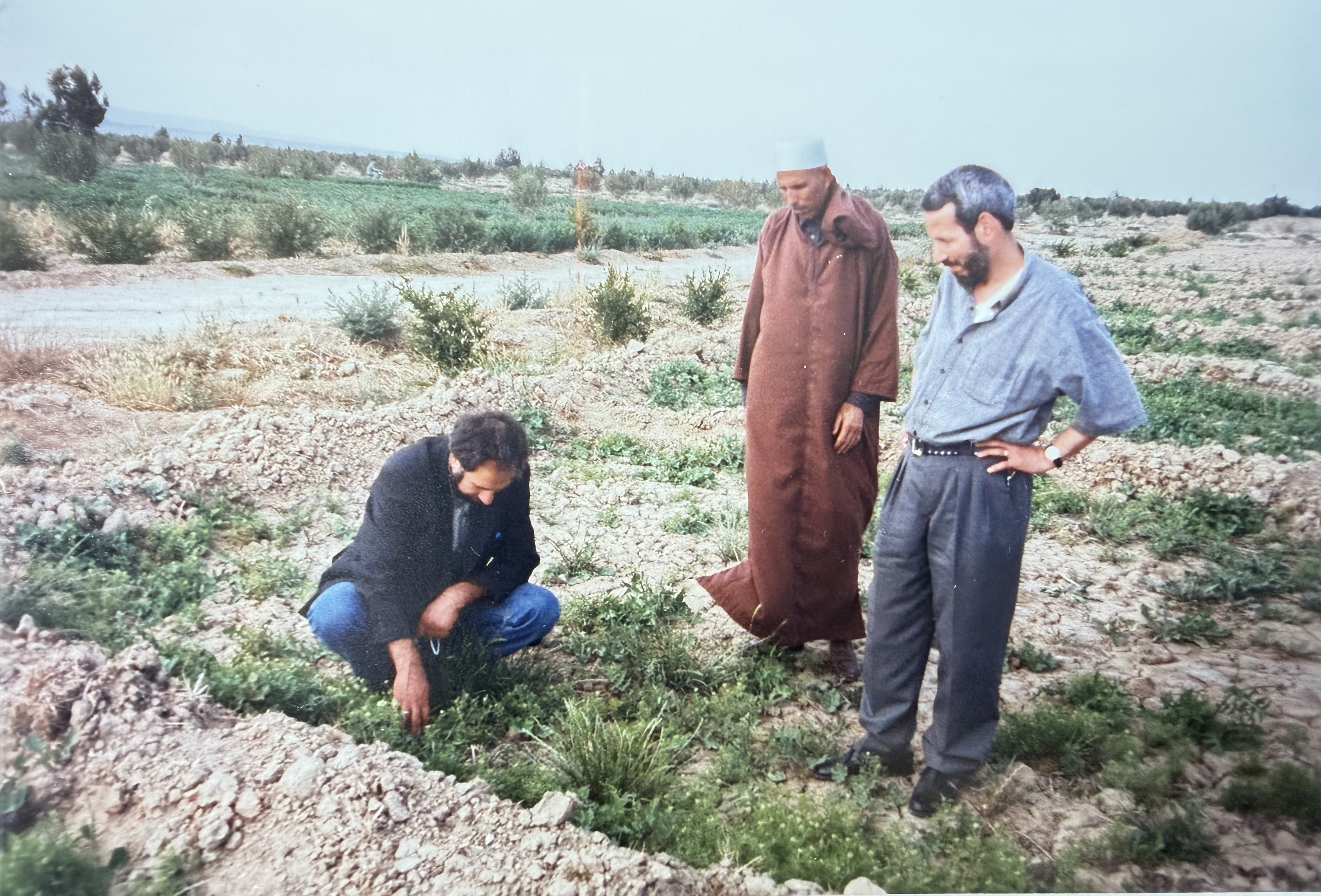 Dr. Diab Refai begutachtet mit Landwirten ein Feld in Syrien